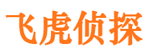 盐田侦探